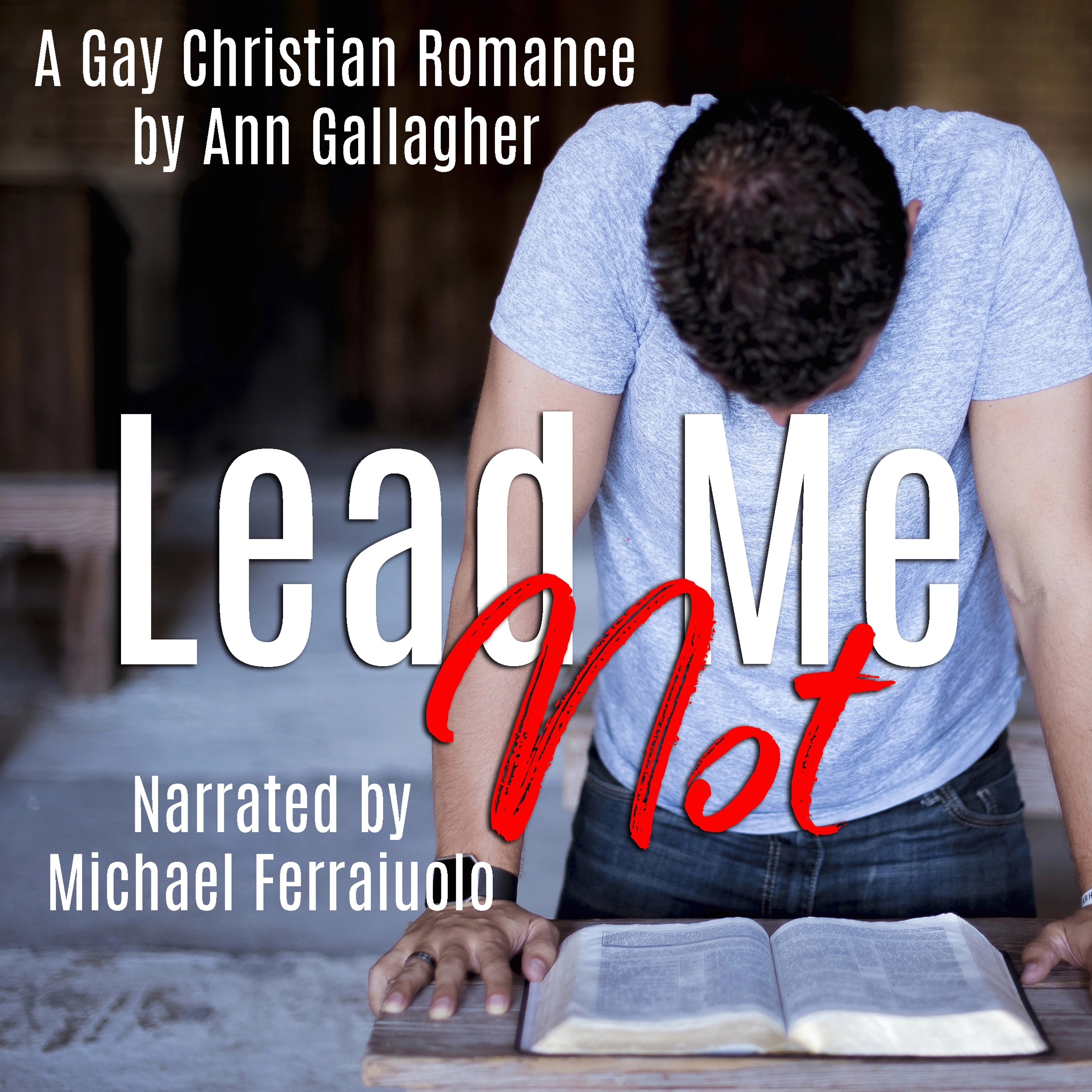 Lead Me Not by Ann Gallagher Audiobook