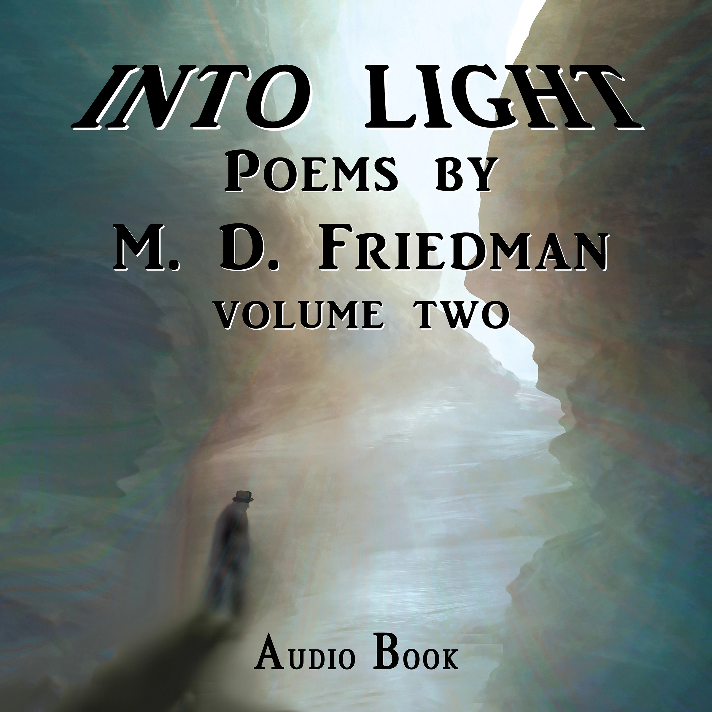 Into Light Volume Two by M. D. Friedman Audiobook