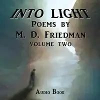 Into Light Volume Two Audiobook by M. D. Friedman