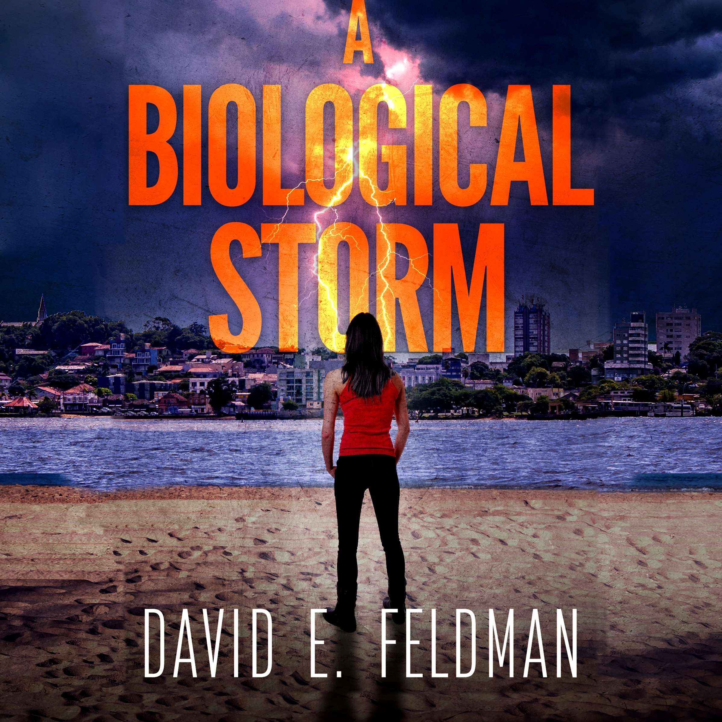 A Biological Storm: A Dora Ellison Mystery, Book 4 by David E. Feldman