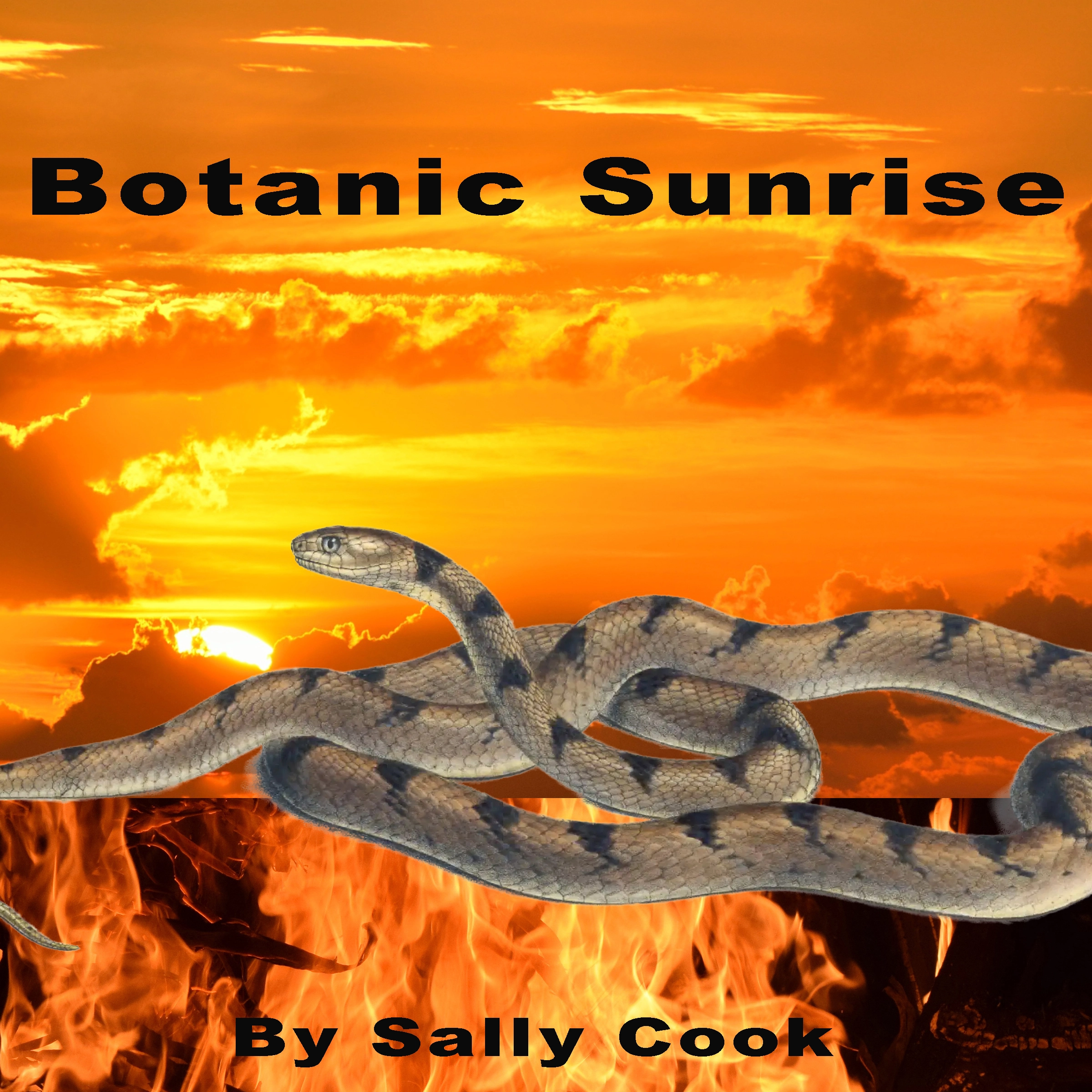 Botanic Sunrise by Sally Cook Audiobook