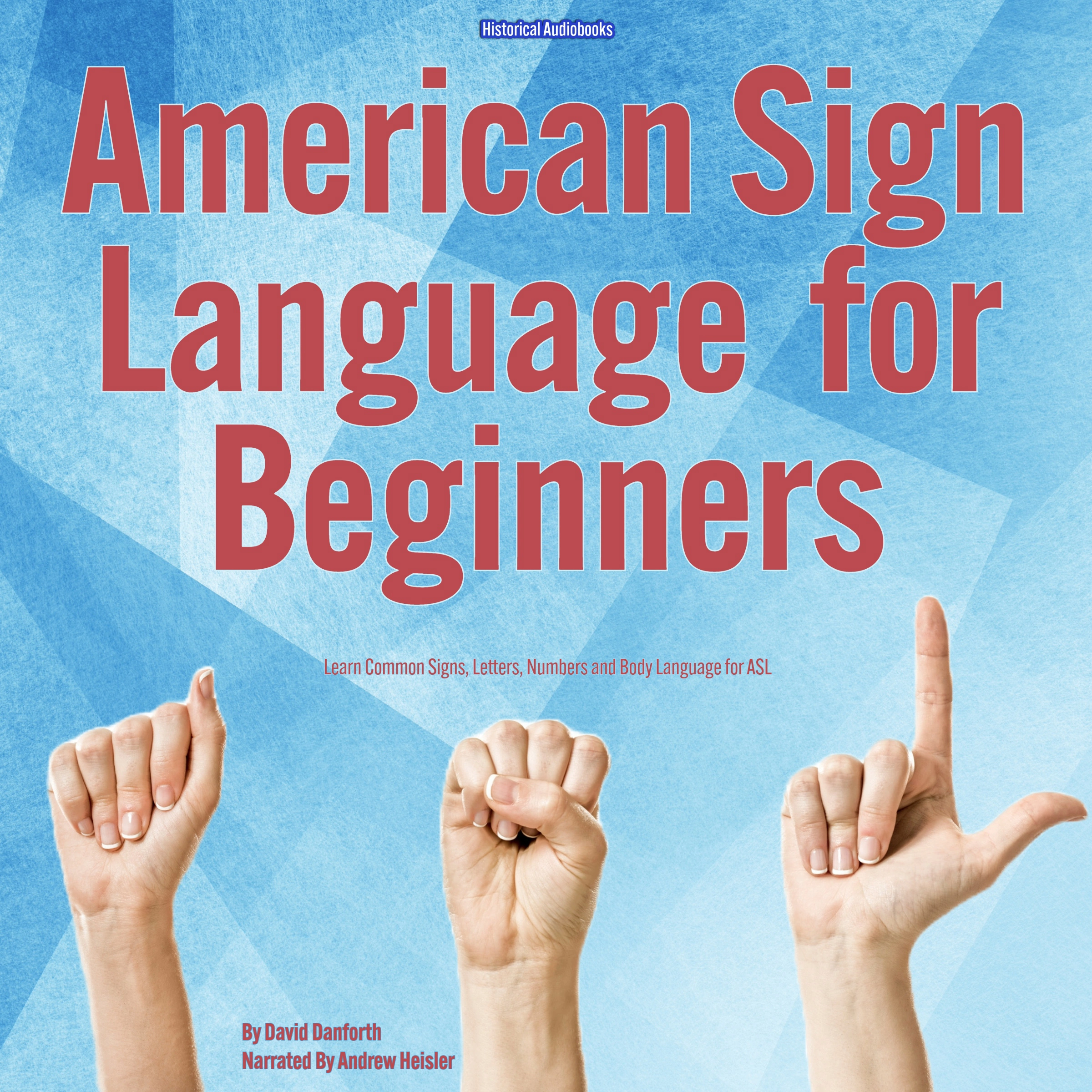 American Sign Language for Beginners Audiobook by David Danforth