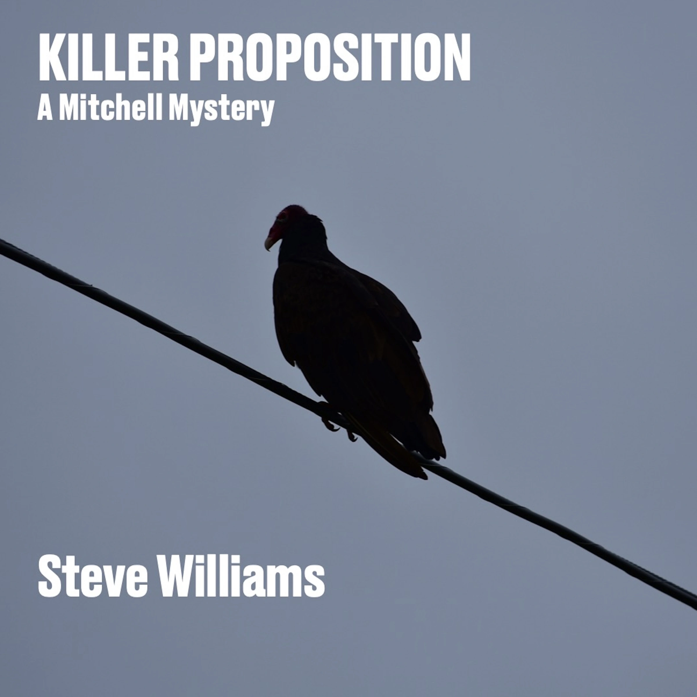 Killer Proposition Audiobook by Steve Williams