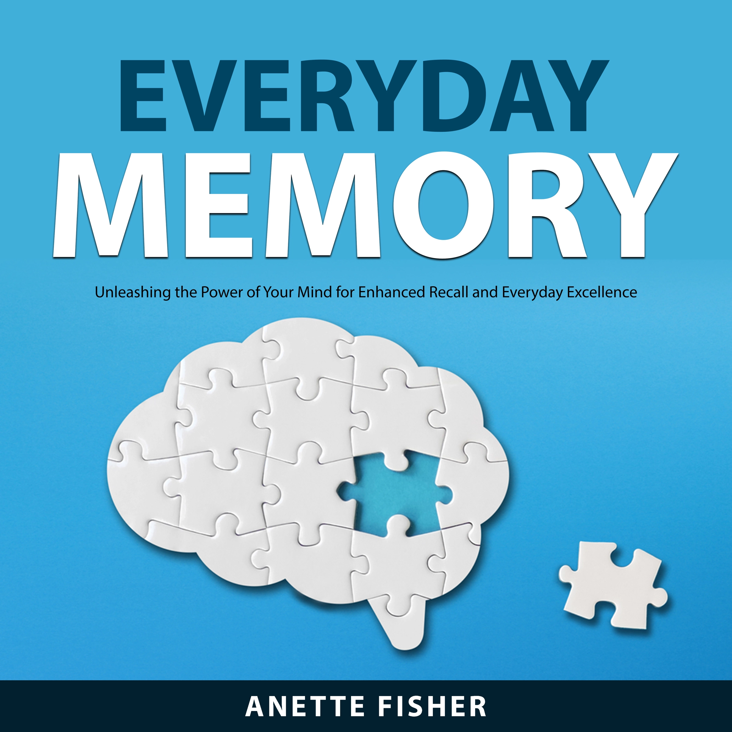 Everyday Memory by Anette Fisher