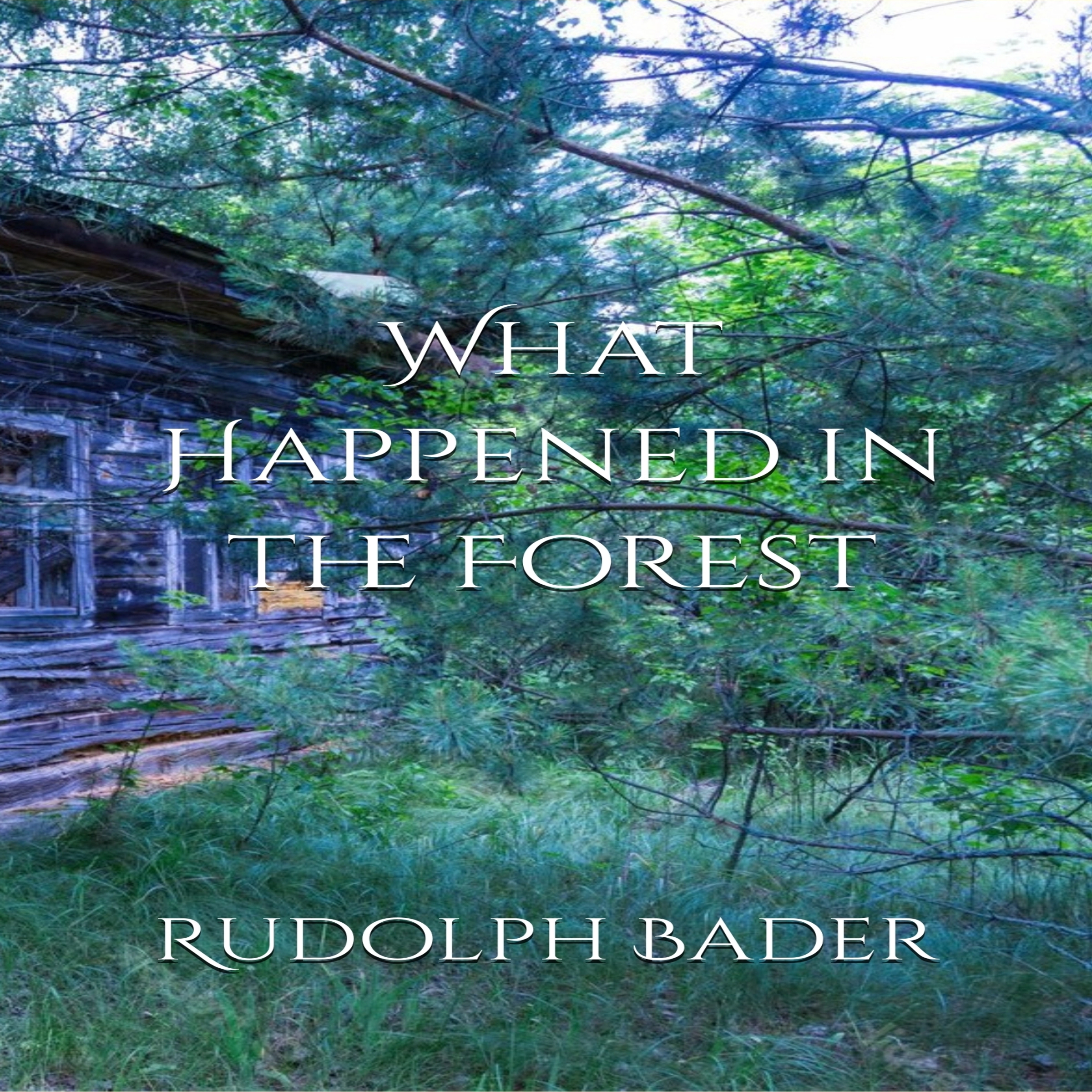 What Happened in the Forest by Rudolph Bader Audiobook