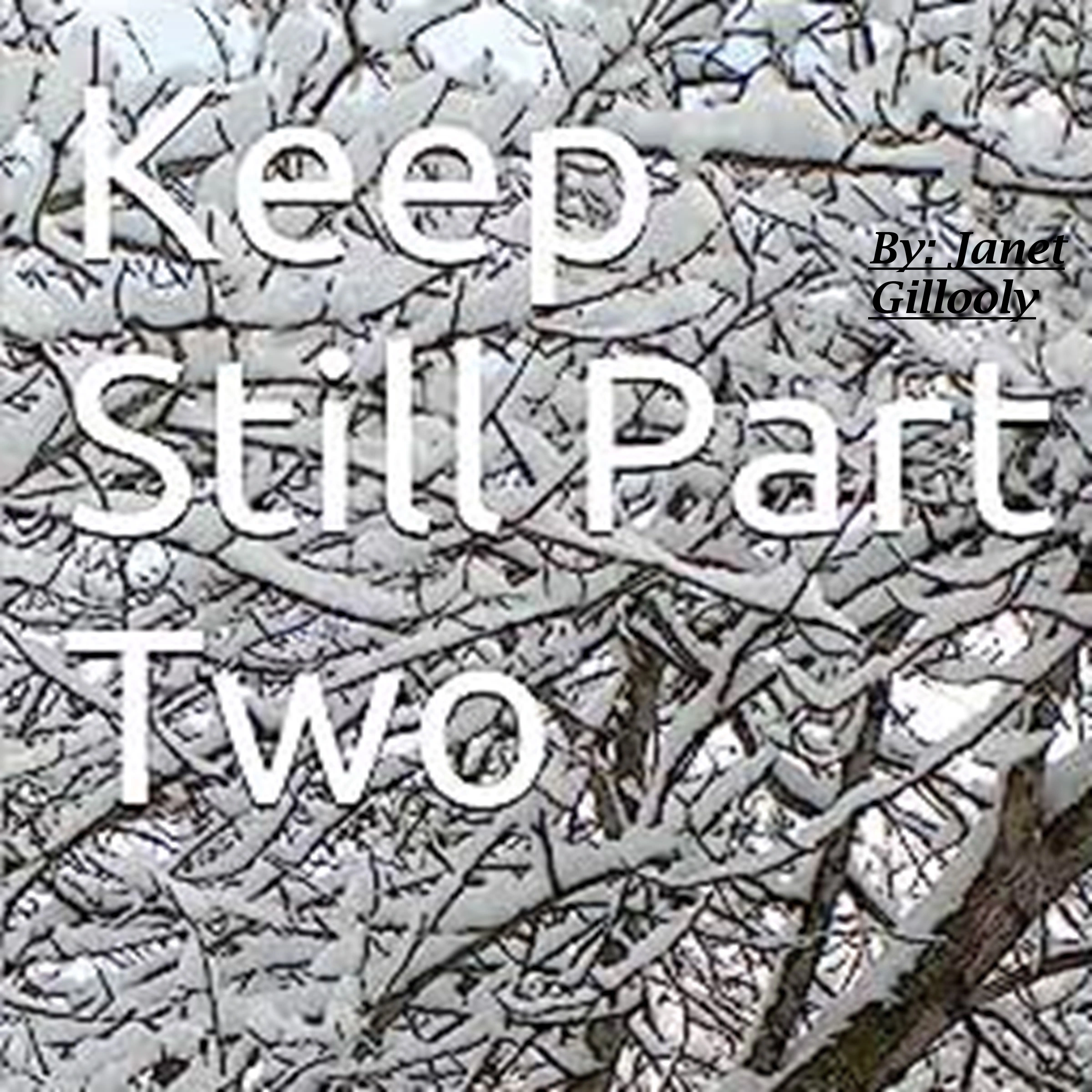 Keep Still Part Two by janet gillooly Audiobook