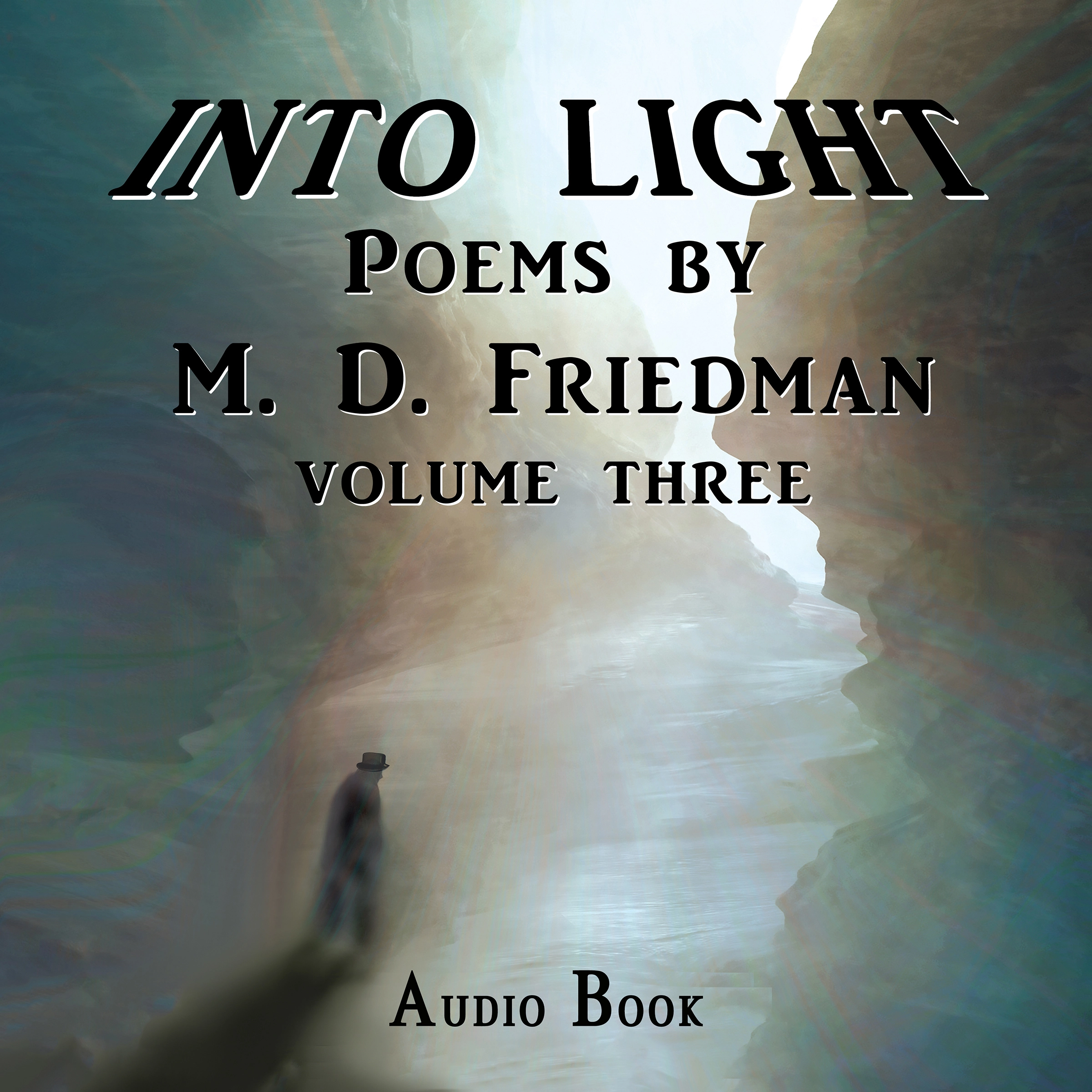 Into Light Volume Three by M. D Friedman Audiobook
