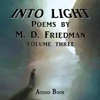Into Light Volume Three Audiobook by M. D Friedman