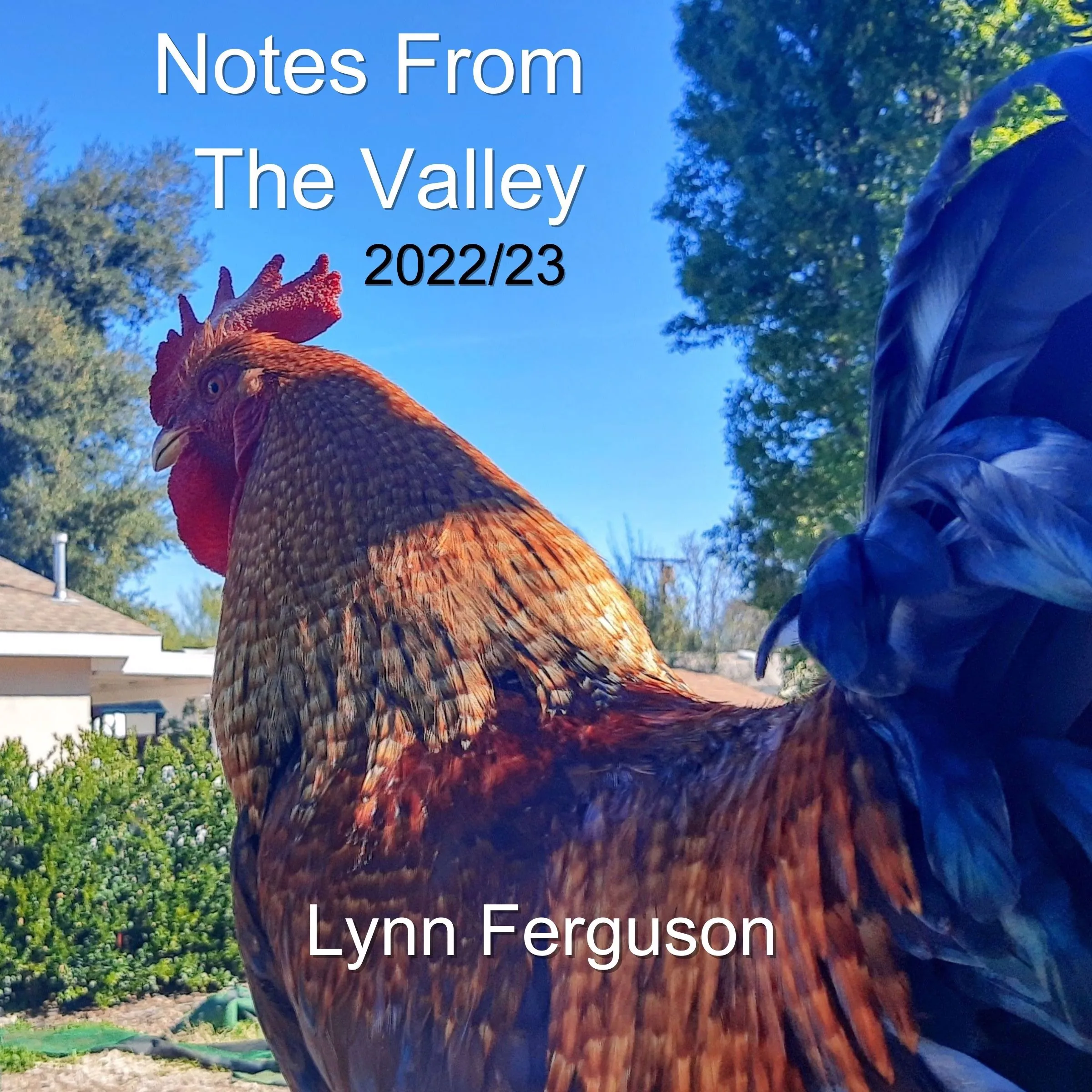 Notes From The Valley by Lynn Ferguson