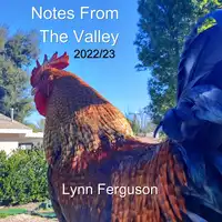 Notes From The Valley Audiobook by Lynn Ferguson