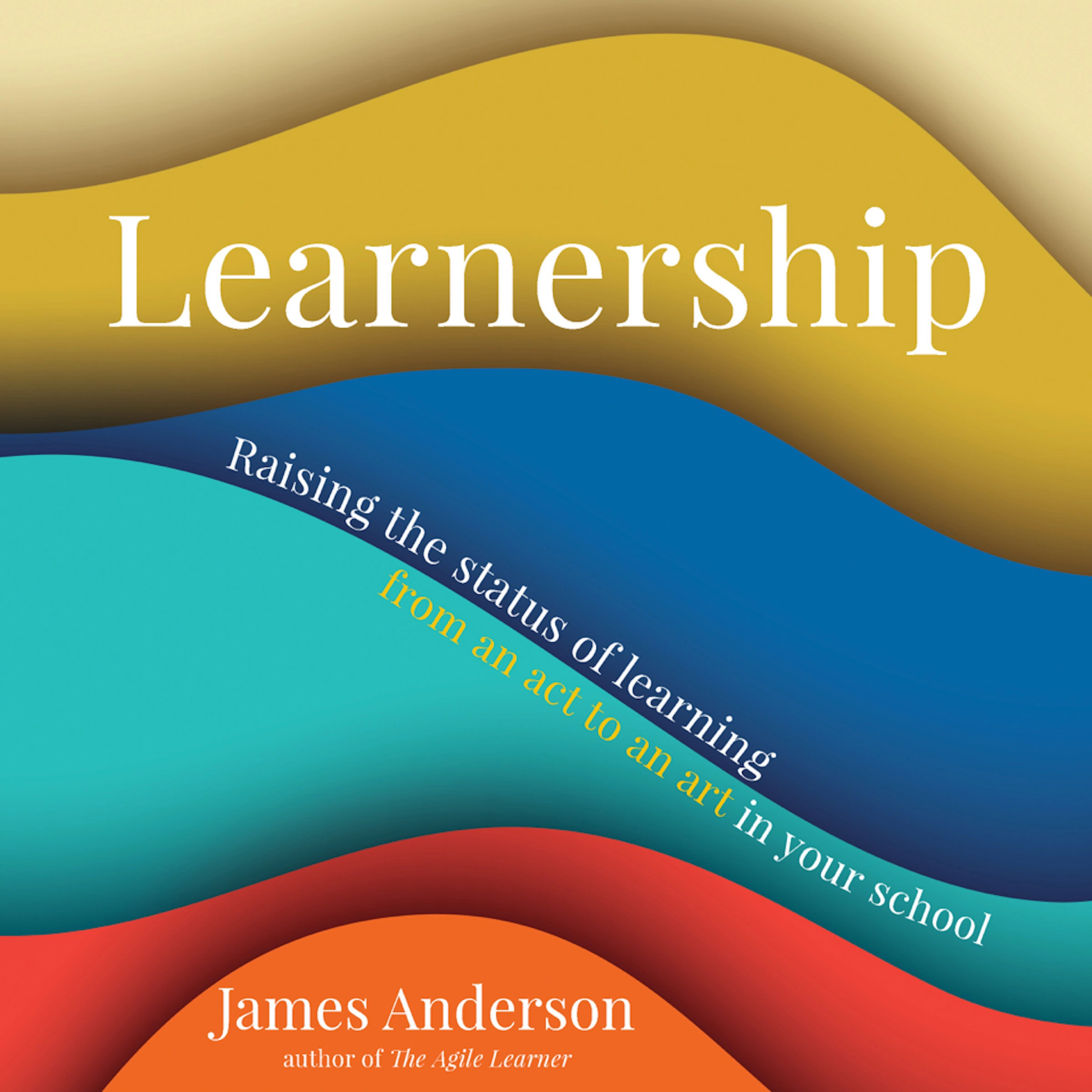 Learnership by James Anderson Audiobook