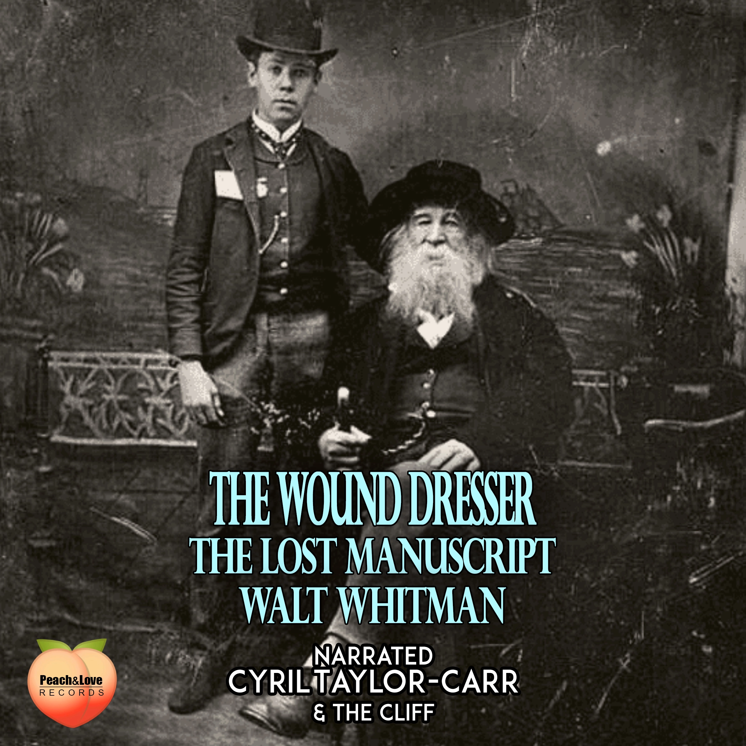 The Wound Dresser Audiobook by Walt Whitman