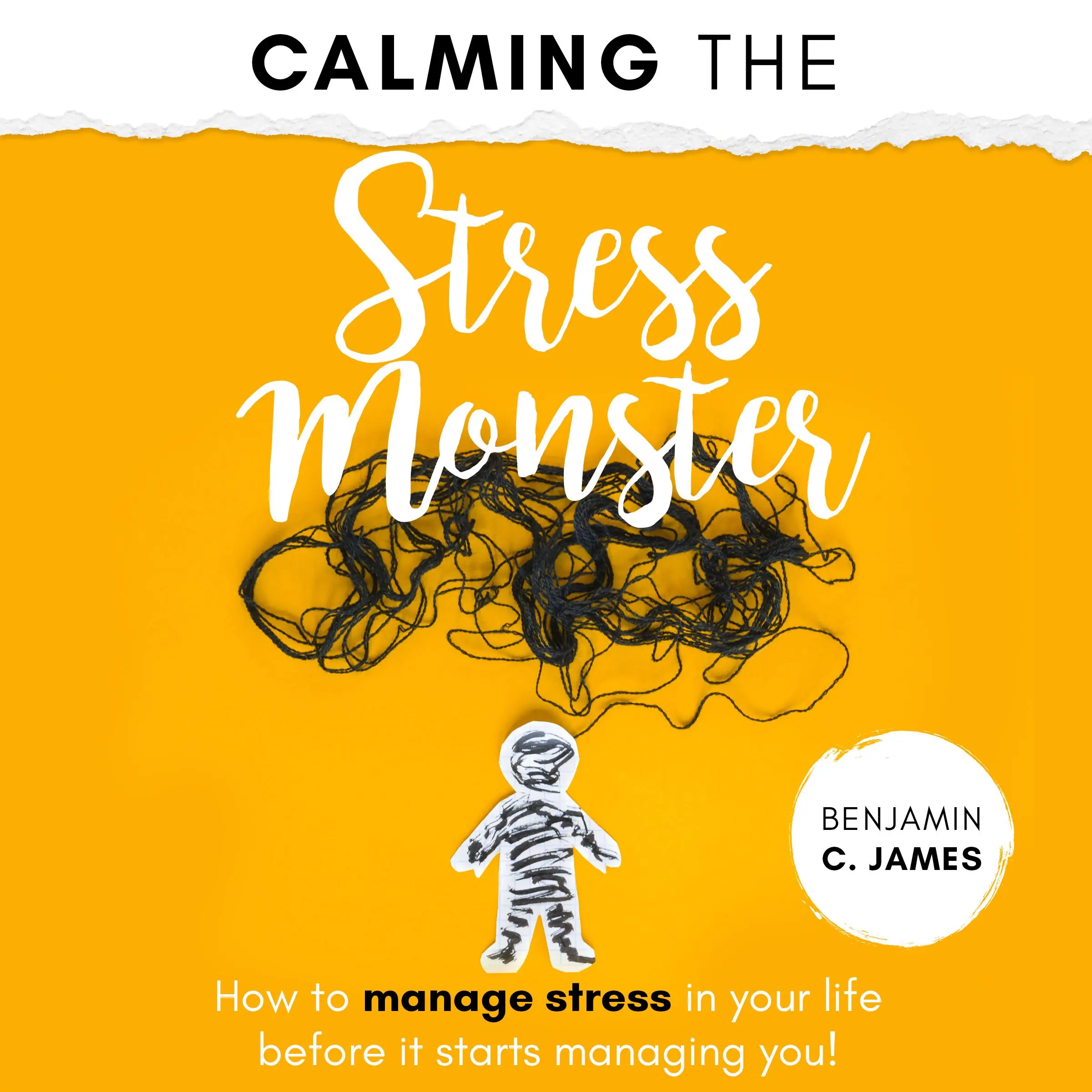 Calming the Stress Monster by Benjamin C. James