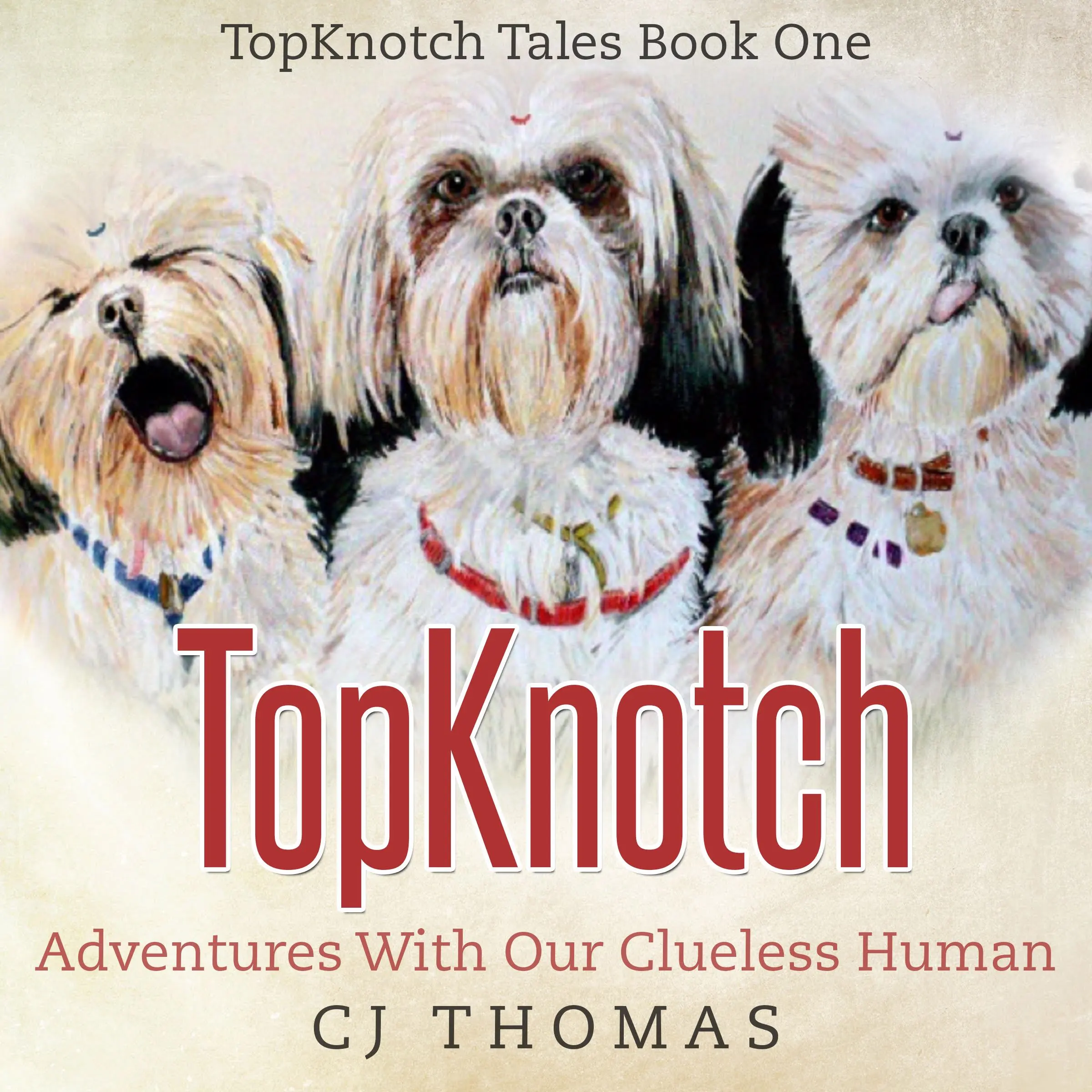 TopKnotch: Adventures with our Clueless Human by CJ Thomas Audiobook