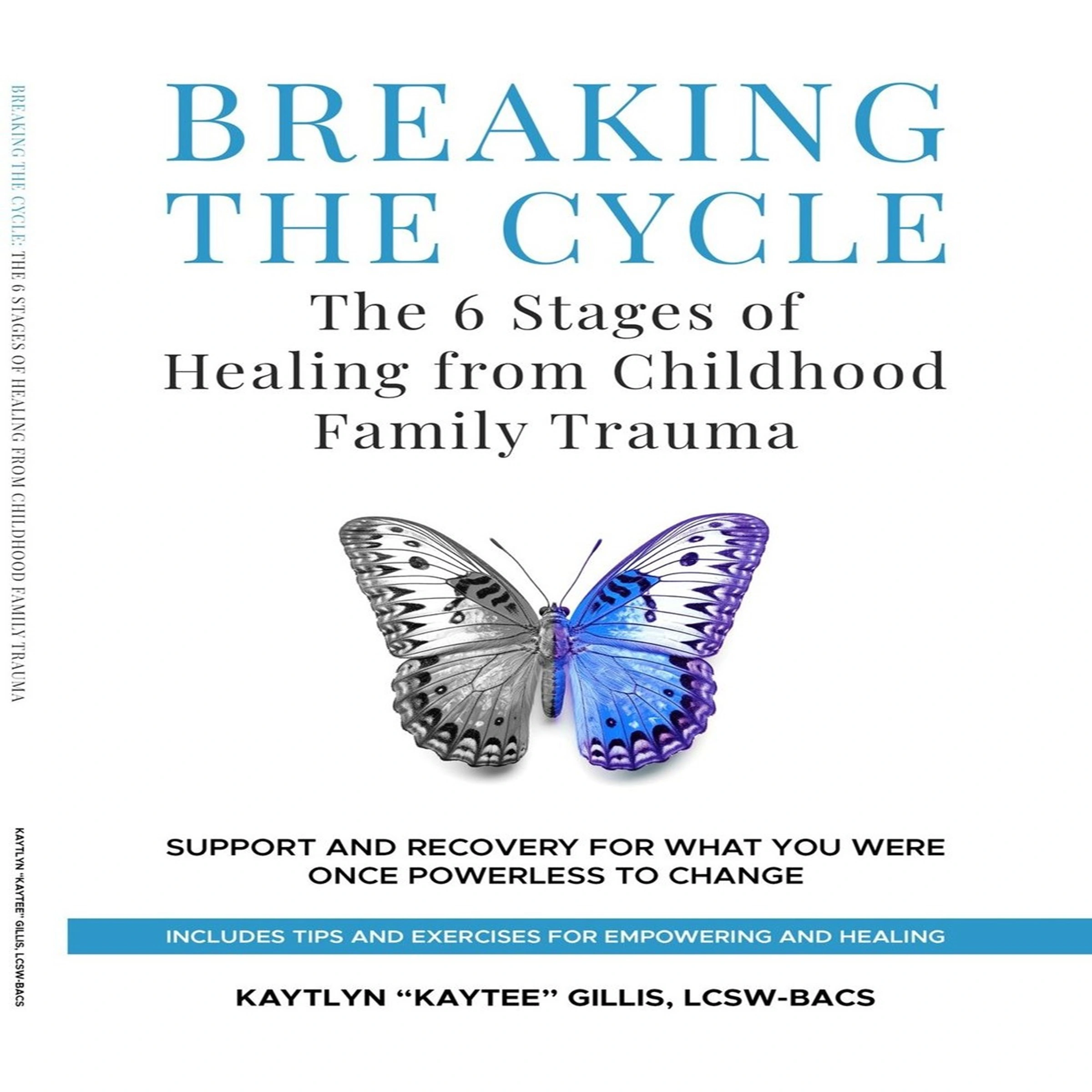 Breaking the Cycle: The 6 Stages of Healing from Childhood Family Trauma by Kaytee Gillis Audiobook